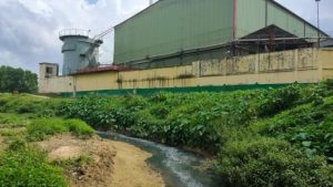 Environmental pollution is harmfull for world