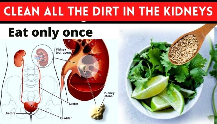 Keep your kidneys clean - at home....