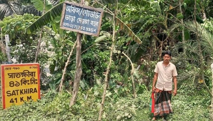 Attempts were made to occupy the plaintiff's property by planting trees before the end of the hearing in Dumuria