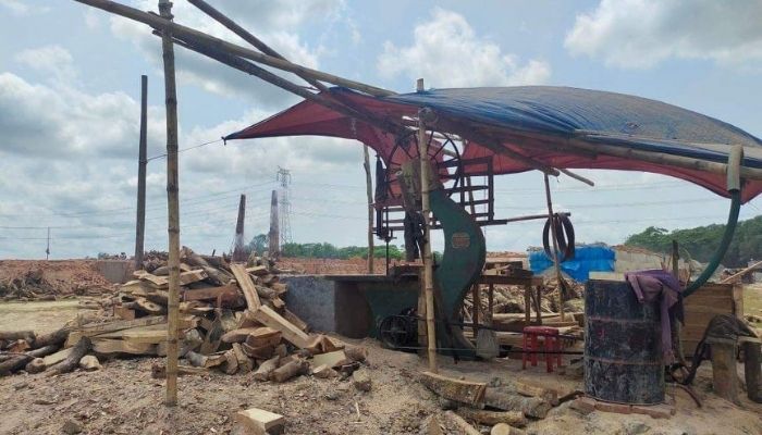 Sawmill at Brickfields in Barguna: Threatened Environment and Biodiversity