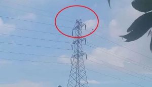 A 55-year-old woman has scaled a towering 133kv electricity lines pole