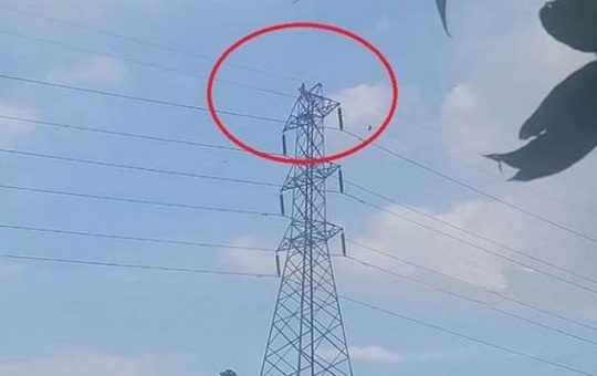 A 55-year-old woman has scaled a towering 133kv electricity lines pole